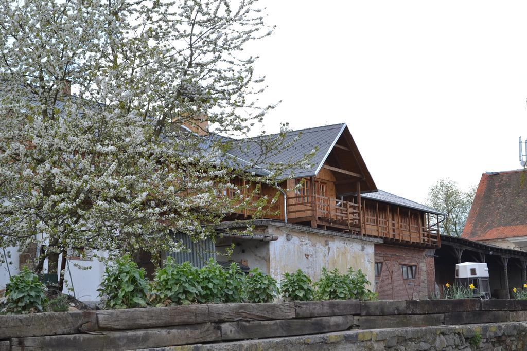 Penzion Dvur Krasikov Kokasice Exterior photo